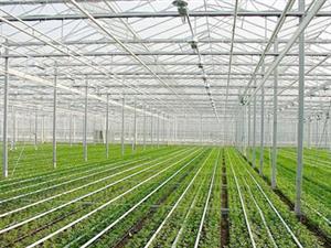 农业种植温室建造-温室大棚建设-温室工程